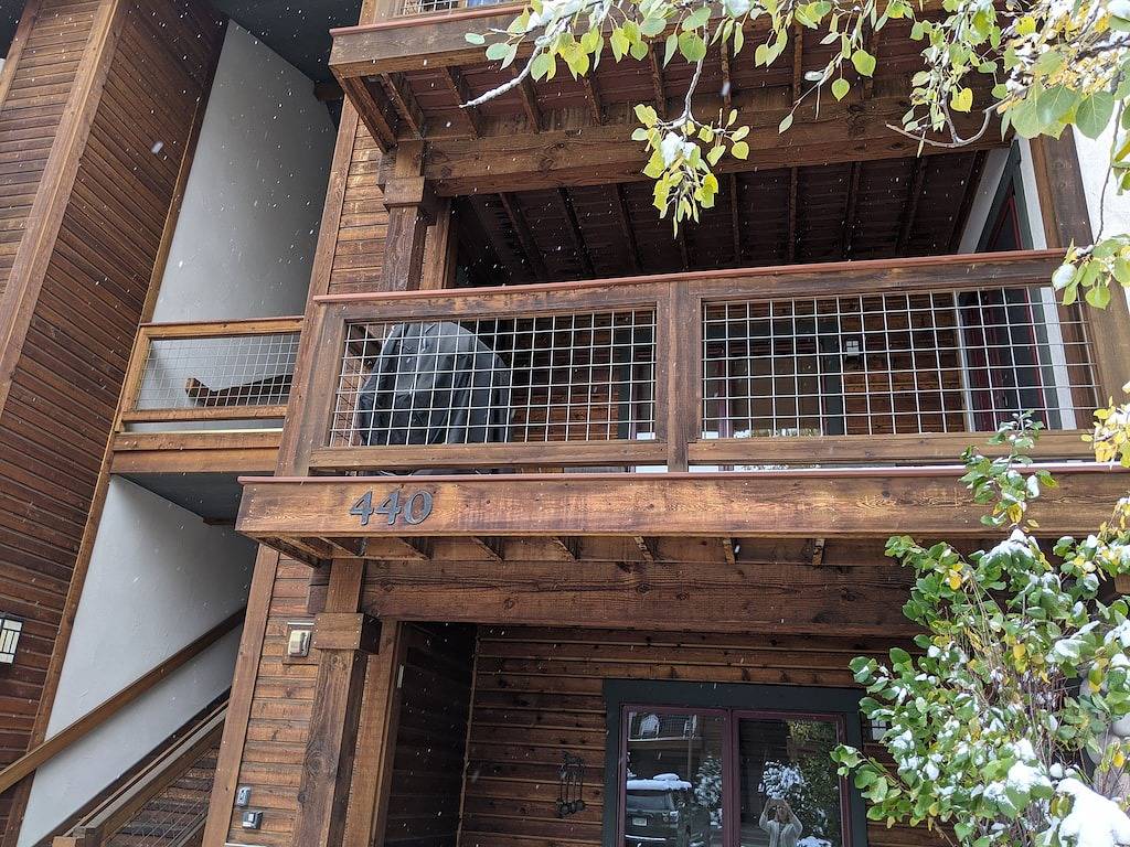 Ganze Wohnung, Quiet - Spacious- On Ski Bus Line - Community Hot Tubs - Wd in Steamboat Springs, Medicine Bow-Routt Nationalwald