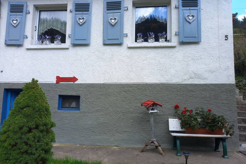 Ferienwohnung 1950 direkt am Neckar / Odenwald in Eberbach, Kurpfalz