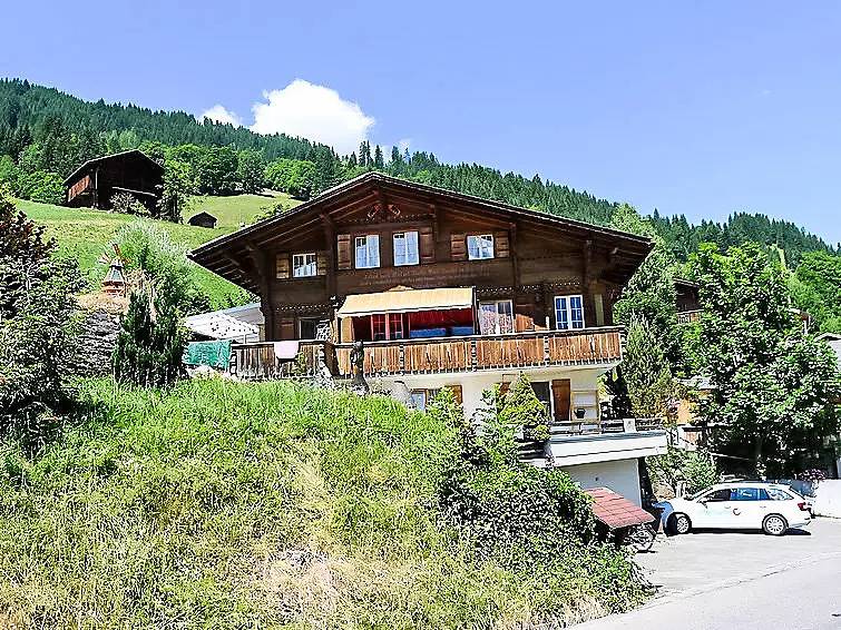 Ganze Wohnung, 3 Pièces 4 Personnes in Lenk im Simmental, Lenk