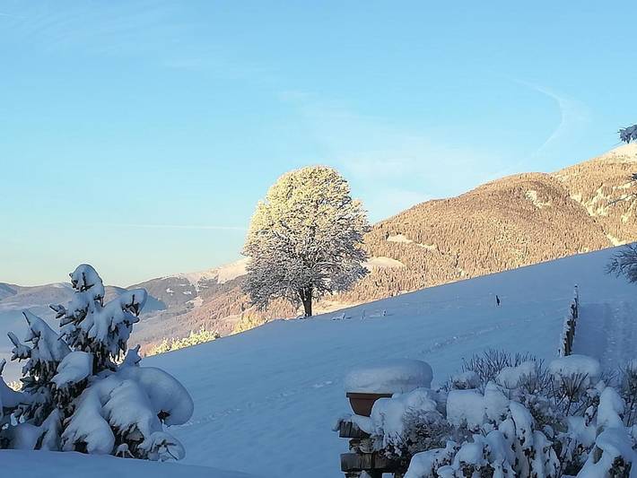 Hôtel pour 2 personnes, avec jacuzzi ainsi que sauna et jardin à Brunico - 4