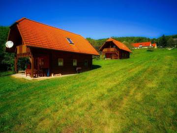 Bauernhof für 8 Personen in Sankt Lorenzen am Wechsel, Steirerland, Bild 3
