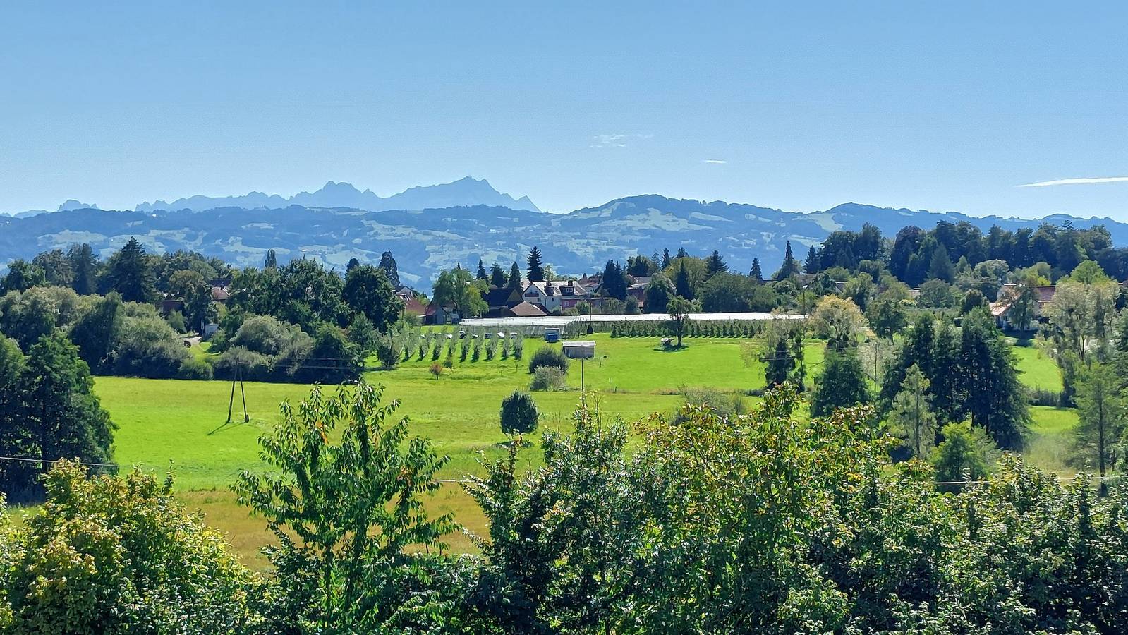Ganze Wohnung, Ferienwohnung 'Dinkelbach Feriendomicil 2 D Summertime' mit Seeblick und Aufzug in Bodolz, Bayerisch Schwaben