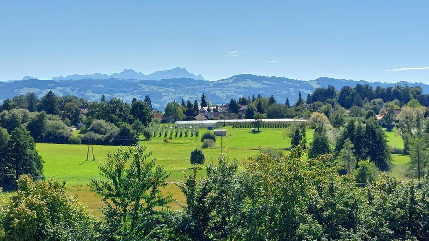 Ferienwohnung für 4 Personen, mit Balkon und Seeblick in Bodolz - 4