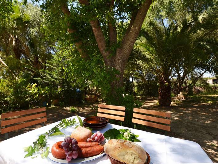 Casa de vacaciones para 11 personas, con jardín además de terraza y piscina en Sineu