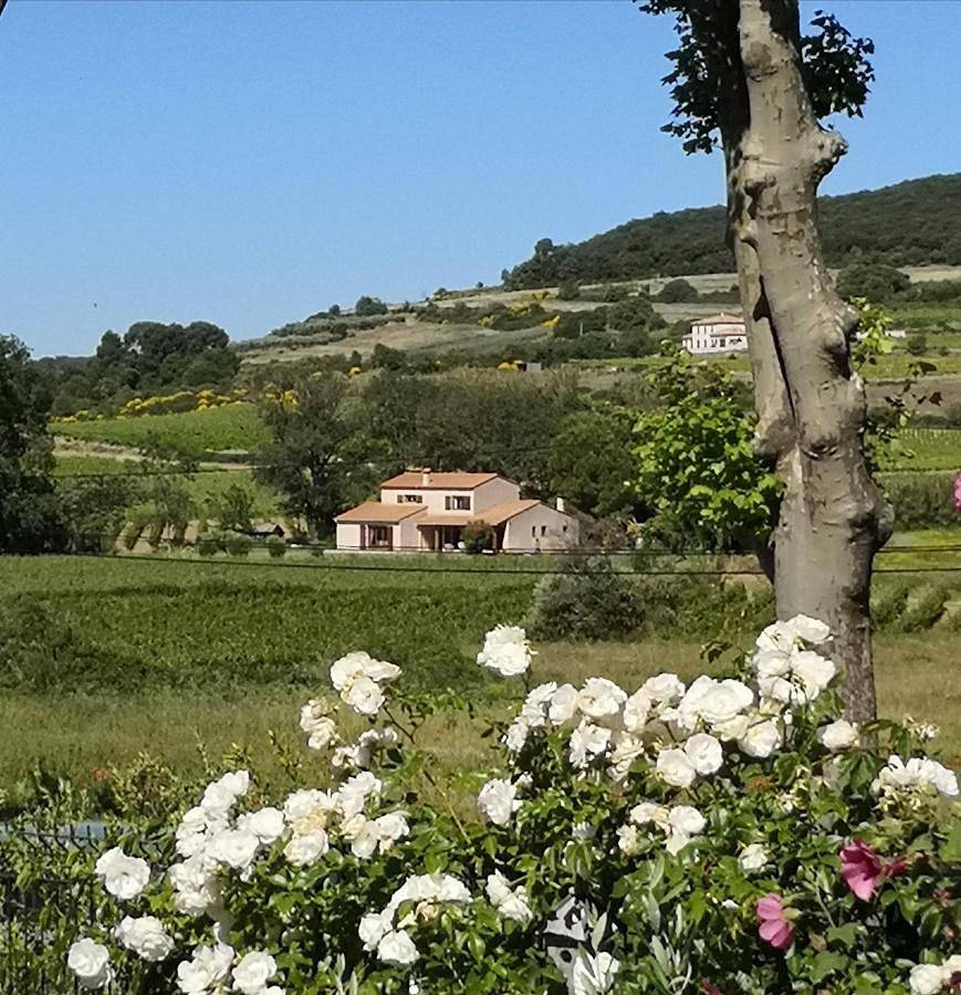 Double Room with Private External Bathroom in Roujan, Côte méditerranéenne (France)