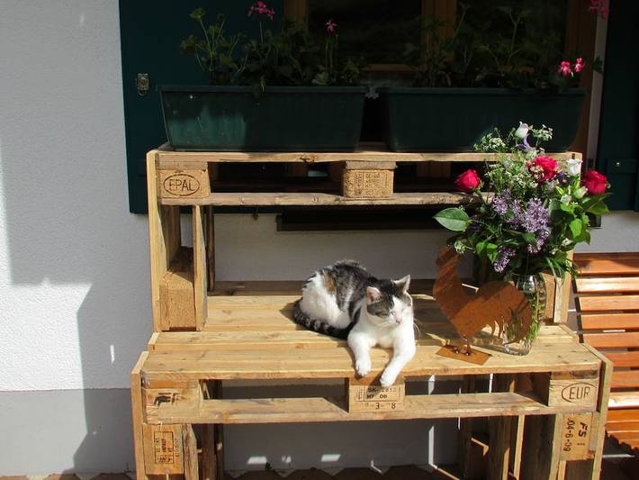 Ferienhaus für 4 Personen, mit Balkon und Terrasse sowie Garten in Oberstaufen - 4