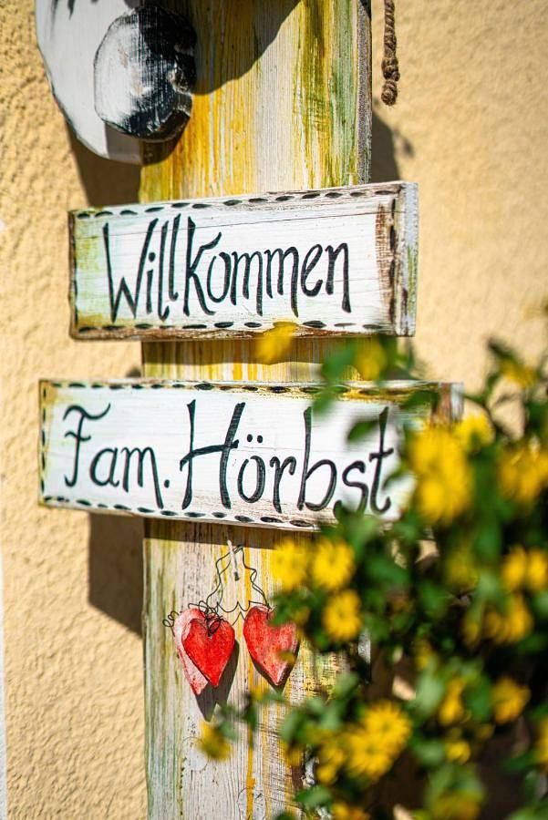 Ferienwohnung für 4 Personen, mit Terrasse in Schattwald - 3