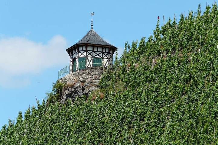 Ferienhaus für 4 Personen, mit Terrasse in Zell Stadt (Mosel) - 4
