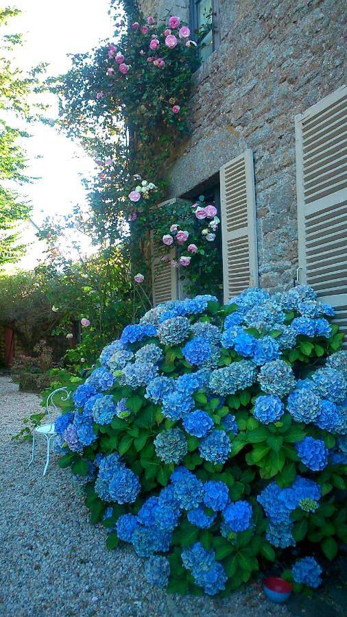 Maison d’hôte pour 2 personnes, avec vue et jardin à Quintin - 2