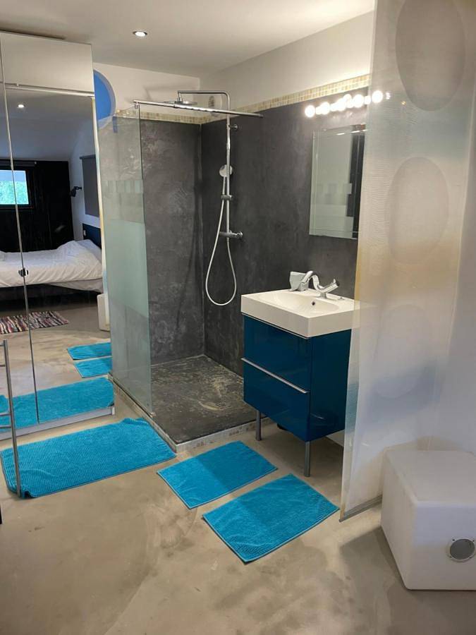 Location de vacances pour 8 personnes, avec jardin ainsi que jacuzzi et piscine à Villetelle - 3