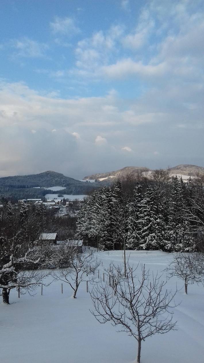 Appartement de vacances entier, Landhaus Kamml - Holiday flat Enzian 40sqm, bedroom, balcony, TV, 3 persons in Anger, Alpes bavaroises
