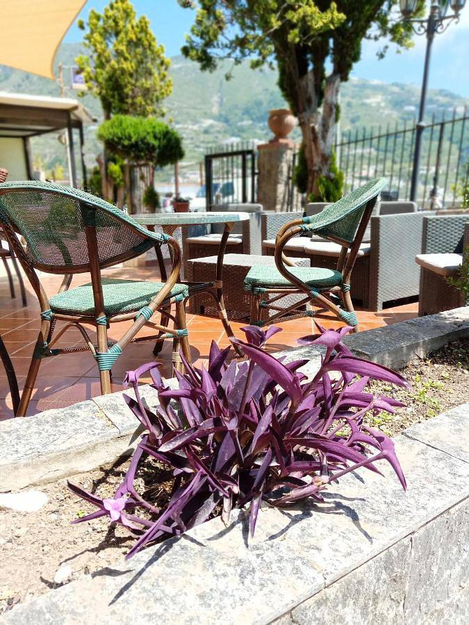 Location de vacances pour 3 personnes, avec terrasse, animaux acceptés dans Ischia - 3