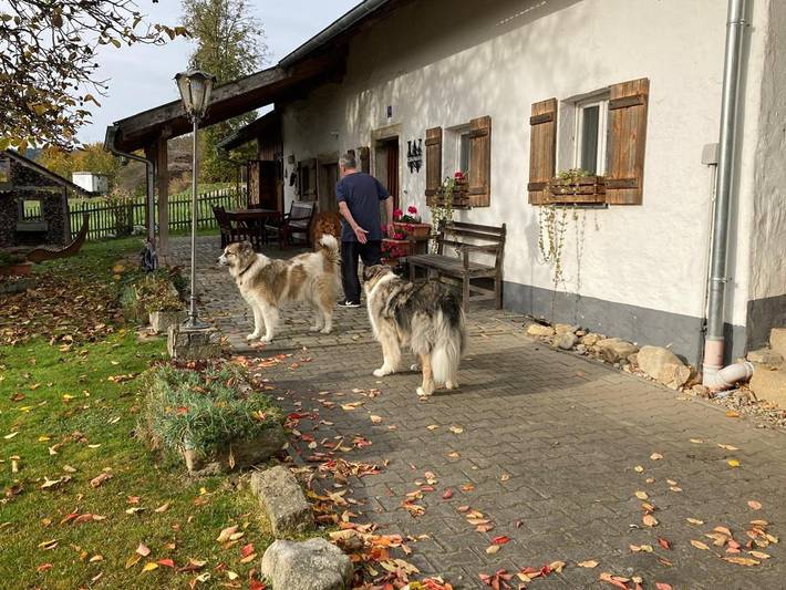 Ferienhaus für 7 Personen, mit Balkon und Balkon/Terrasse sowie Garten in Blaibach