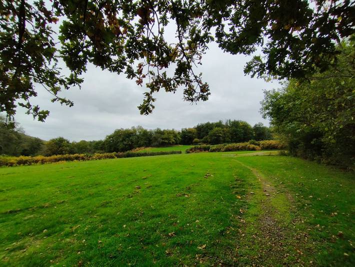 Chalet pour 5 personnes, avec jardin et terrasse, animaux acceptés dans Nièvre - 3
