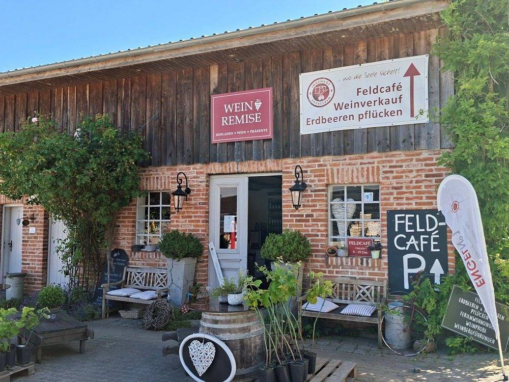 Obst- und Weingut Ingenhof - Ferienwohnung B in Malente, Ostholstein