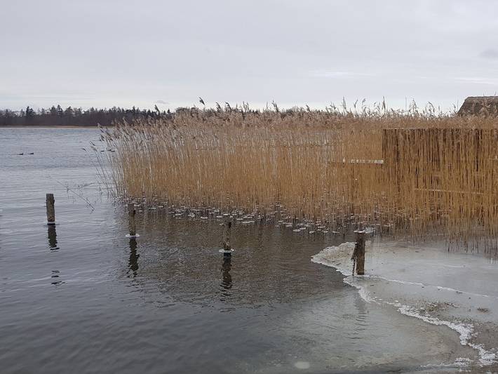 Ferienhaus für 3 Personen, mit Garten, kinderfreundlich in Krakow am See - 3
