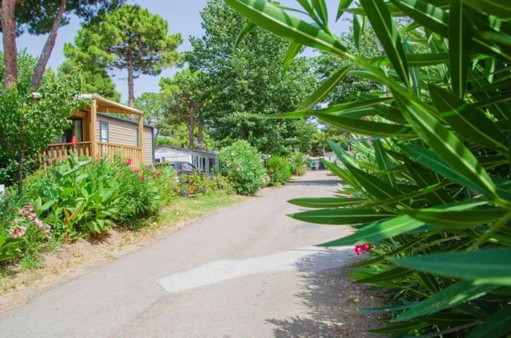 Camping pour 6 personnes, avec Bassin pour enfant et Piscine au Grau-d'Agde - 3
