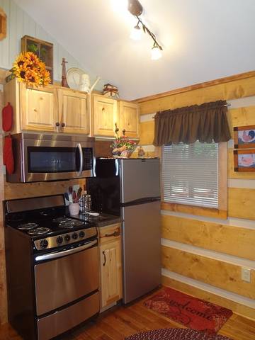 Log Cabin for 2 Guests in North Carolina, USA, Picture 2