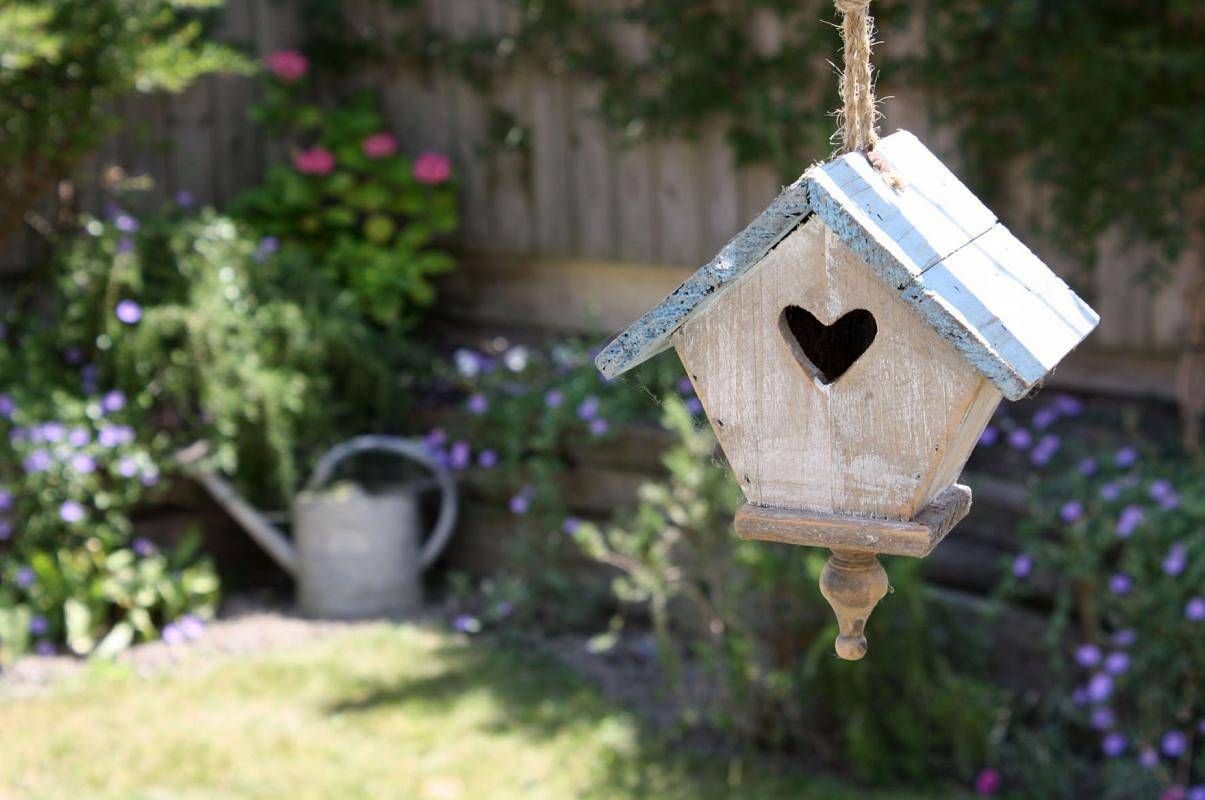 Cézembre in Saint-Malo, Région de Saint-Malo