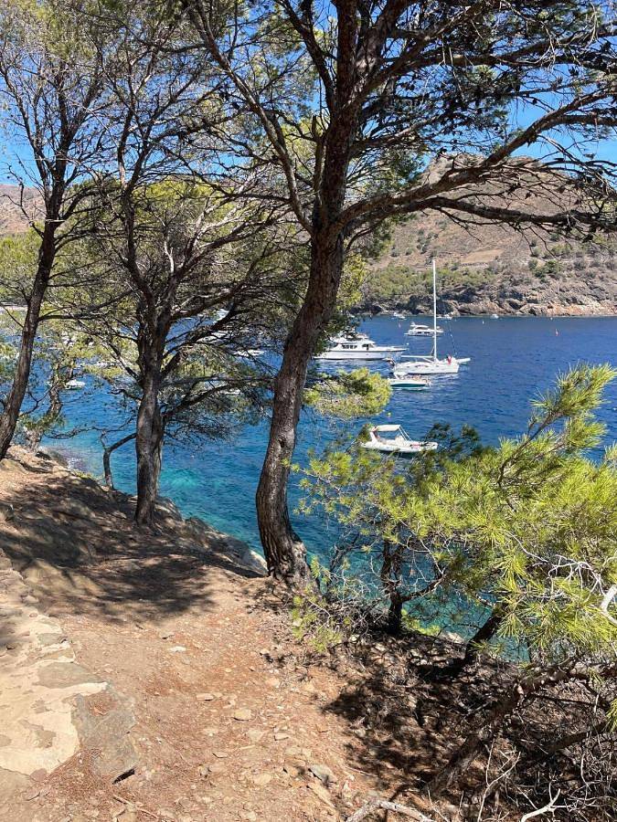 Maison de vacances pour 6 personnes, avec Terrasse et Jardin dans El Mas Boscá