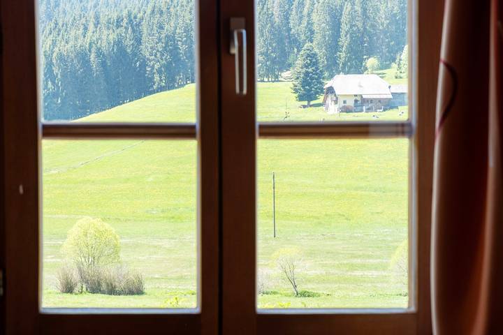 Ferienwohnung für 4 Personen, mit Garten in Schluchsee - 3