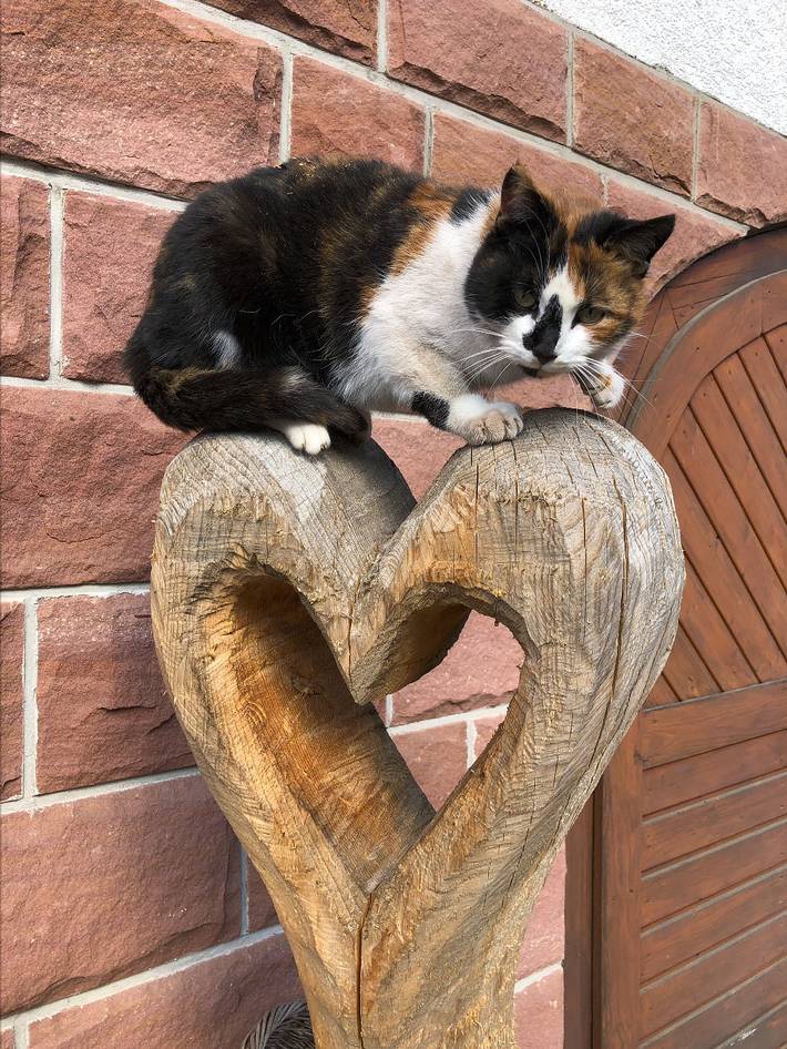 Ferienwohnung für 2 Personen, mit Terrasse in Mittlerer Schwarzwald - 2