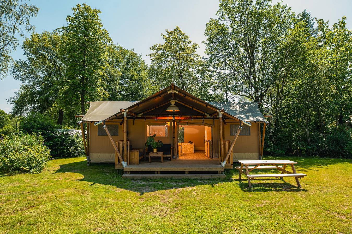 Glamping for 8 People in Sallandse Heuvelrug, Overijssel