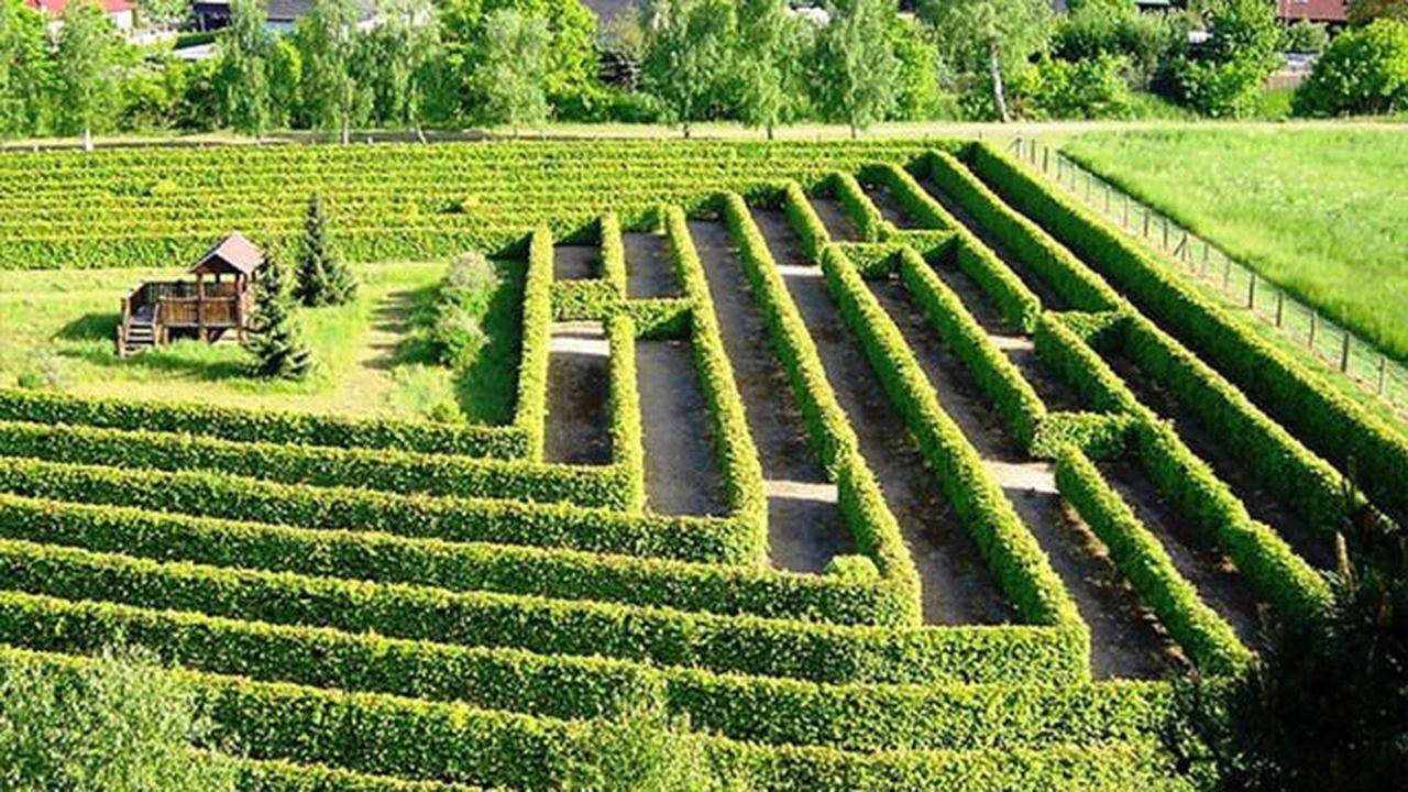 Ganze Ferienwohnung, Ferienwohnung für 3 Personen (28 m²) in Dargun in Dargun, Mecklenburgische Seenplatte