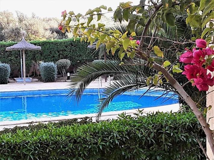Apartamento para 4 personas, con Terraza además de Jardín y Piscina en Porto Cristo Novo