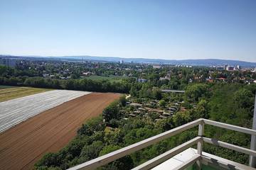 Ferienwohnung für 5 Personen in Mainz