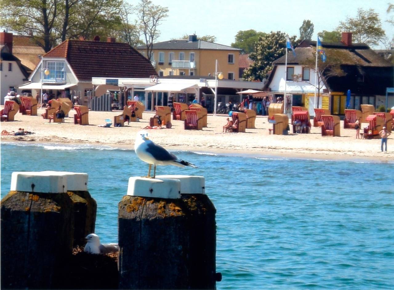Ganze Ferienwohnung, Ferienwohnung Pier 1 in Dahme, Ostholstein