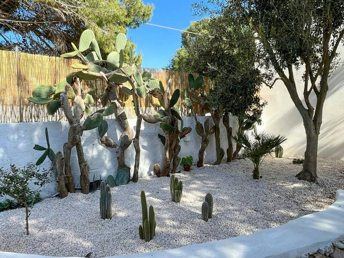 Villa con Cucina Esterna e Giardino Mediterraneo in Favignana città, Favignana