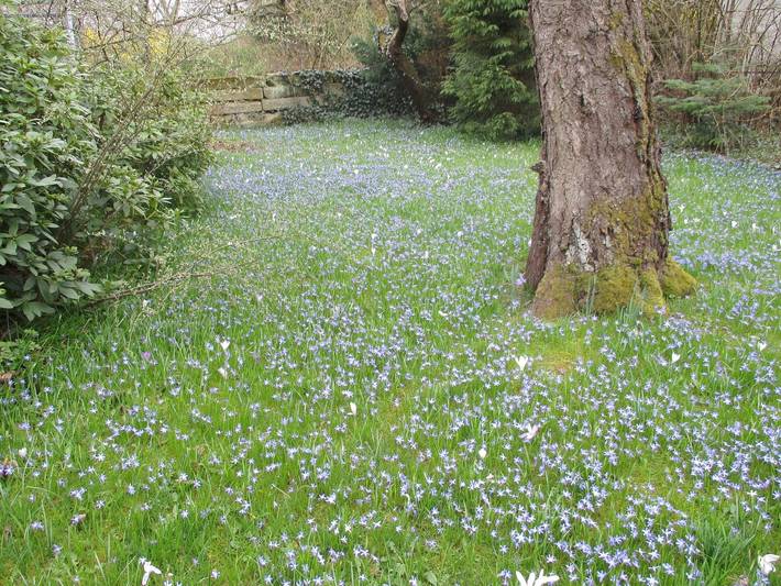 Ferienwohnung für 4 Personen, mit Terrasse und Garten in Naturpark Südheide - 3
