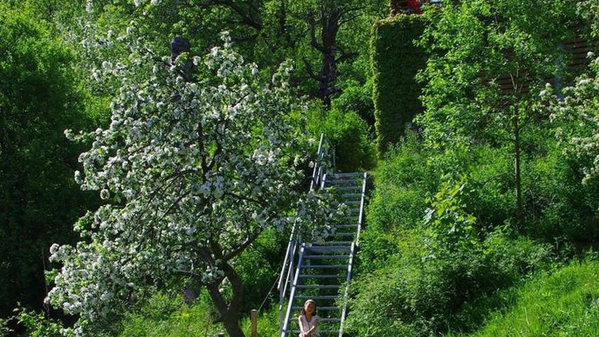 Ferienwohnung für 2 Personen, mit Terrasse in Oybin - 4