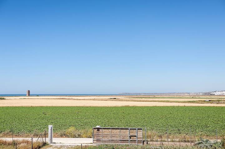 Ferienhaus für 8 Personen, mit Garten in El Palmar (Andalusien) - 4