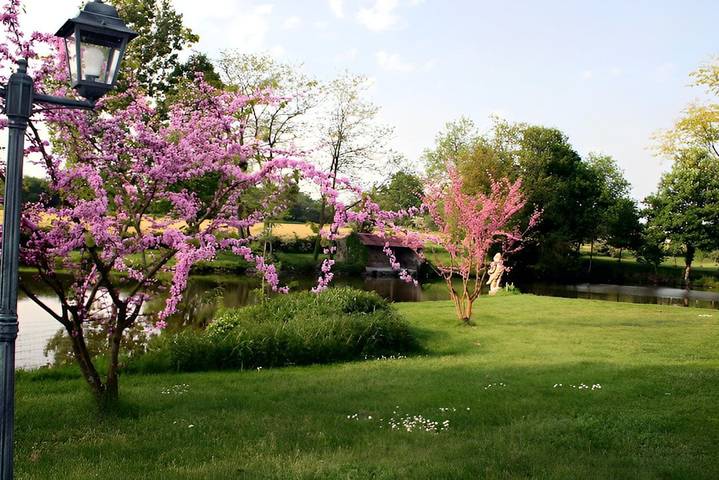 Chambre d’hôte pour 2 personnes, avec piscine et jardin dans les Deux-Sèvres - 2