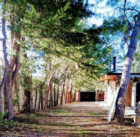 Casa rural para 9 personas, con Terraza y Jardín además de Piscina y Vistas al lago en Provincia de Ciudad Real - 3