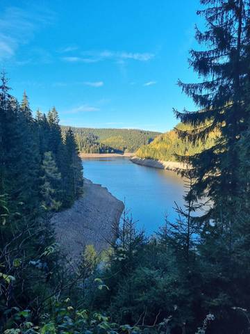 Ferienwohnung für 10 Personen, mit Sauna und Garten sowie Terrasse im Thüringer Wald