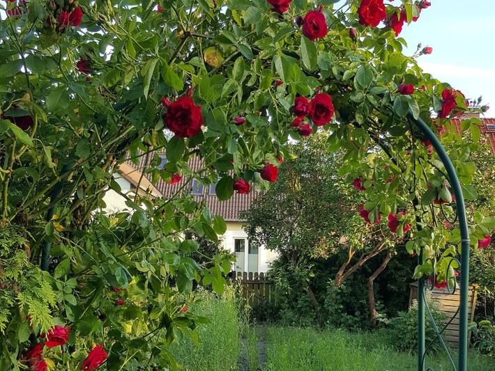 Ferienwohnung für 3 Personen, mit Garten und Terrasse, kinderfreundlich in Blankensee (Mecklenburg) - 3