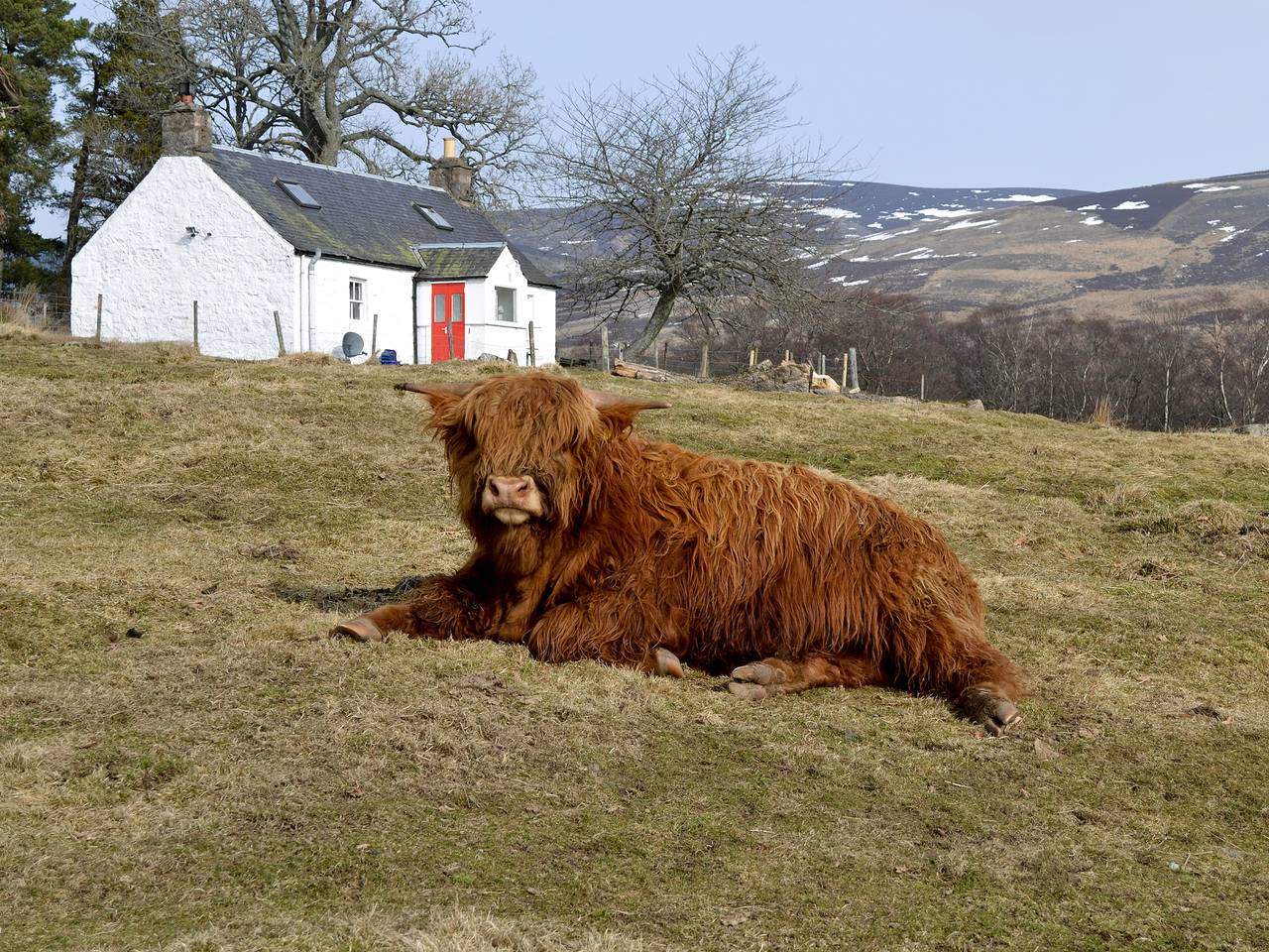 Cottage für 4 Personen mit Garten in Glenshee, Angus