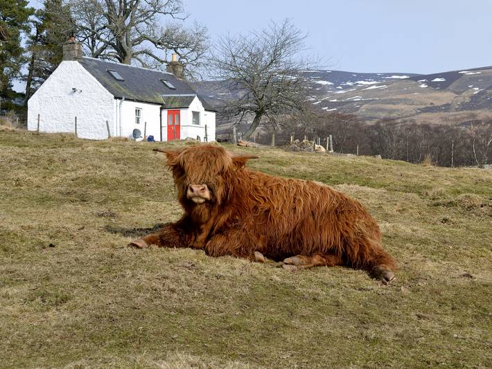 Log cabin for 4 people, with garden, with pets in Glenshee