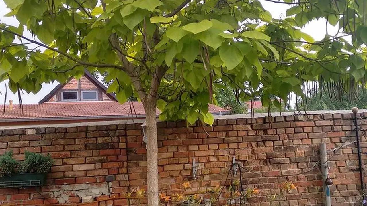 Ganze Ferienwohnung, Ferienwohnung für 4 Personen (40 m²) in Stendal in Stendal, Altmark