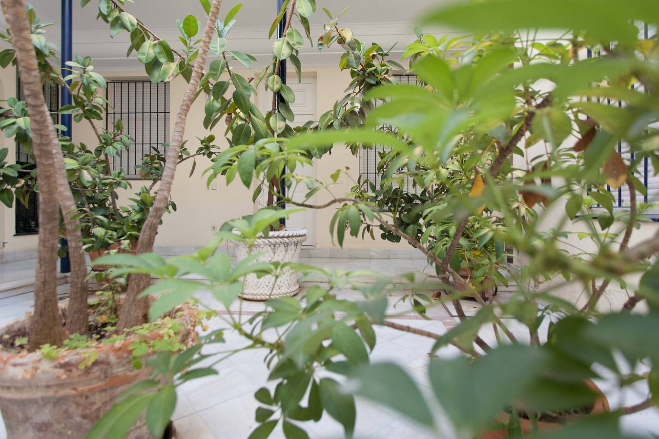 Entire apartment, Furnished apartment in alfalfa in Casco Antiguo, Sevilla