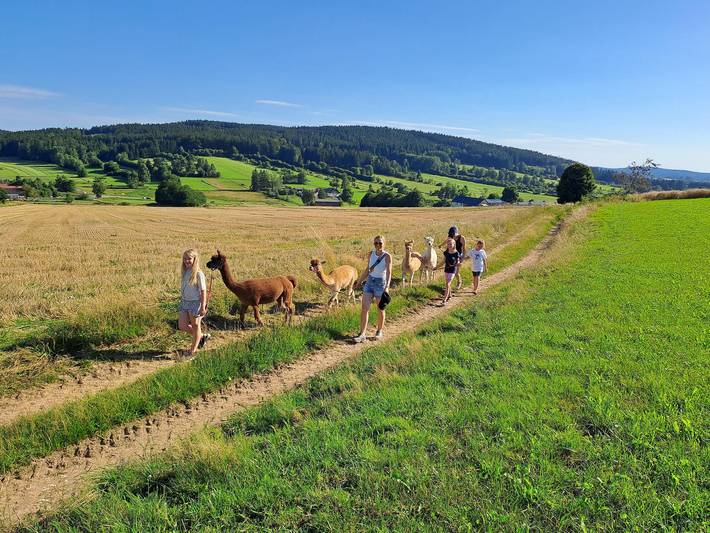 Ferienhaus für 4 Personen, mit Balkon und Balkon/Terrasse in Naturpark Oberpfälzer Wald - 4