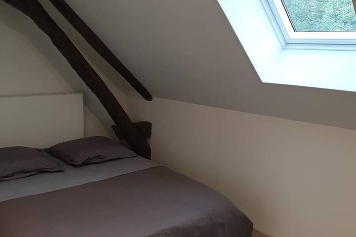 Location de vacances pour 8 personnes, animaux acceptés à Farges-en-Septaine - 3