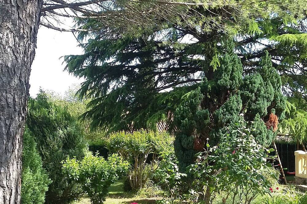 Zeer mooie Périgourdine, foto 13