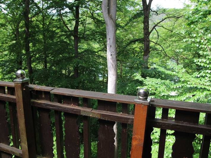 Ferienwohnung für 5 Personen, mit Balkon und Seeblick sowie Garten, kinderfreundlich in Vöhl - 3