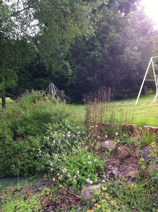 Gîte pour 8 personnes, avec vue et jardin, animaux acceptés dans Champenay - 4