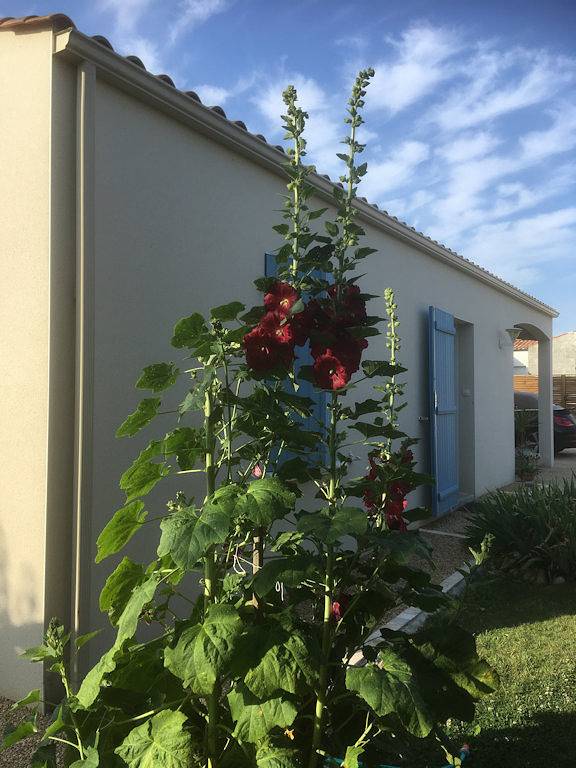 Gîte pour 4 personnes, avec jardin et terrasse à Saint-Michel-en-l'Herm - 4
