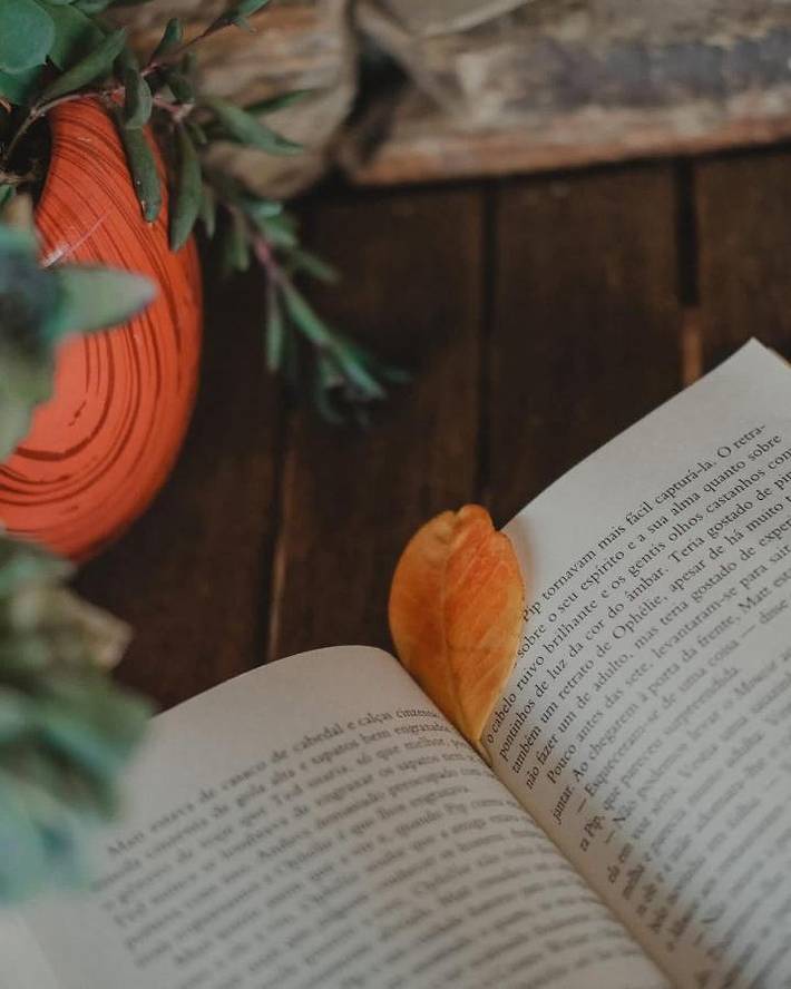 Location de vacances pour 8 personnes, avec jardin et piscine ainsi que jacuzzi et sauna à Mirandela - 4